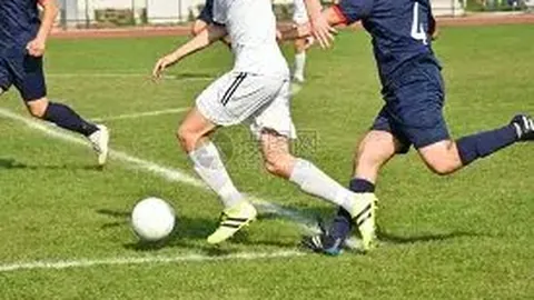 开云体育官网投注