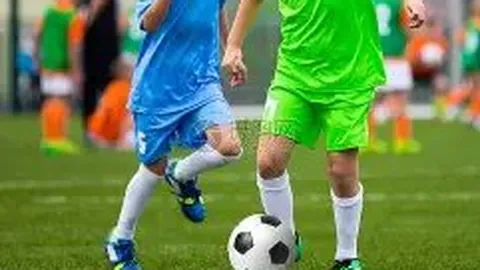 开云体育官网投注 产品 102042 pfb