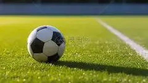 开云体育官网投注 资讯 101459 2vt