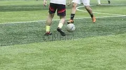 开云体育官网投注