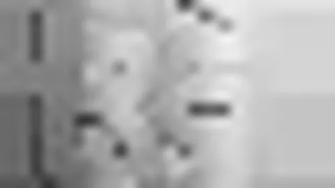 开云体育官网投注 产品 090410 ws8